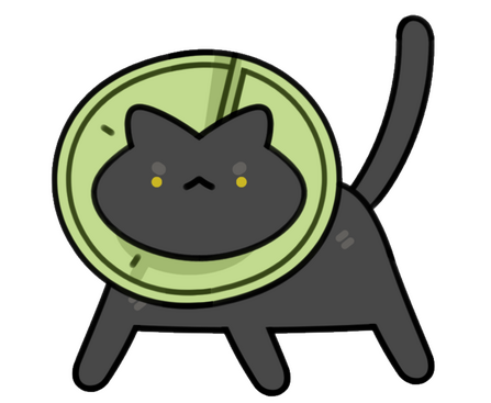 a very hungry cat, begs for food